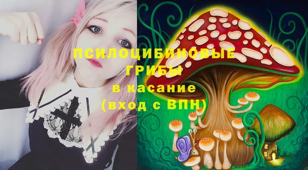 ПСИЛОЦИБИНОВЫЕ ГРИБЫ Заводоуковск