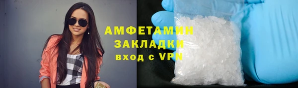 гашик Дмитров