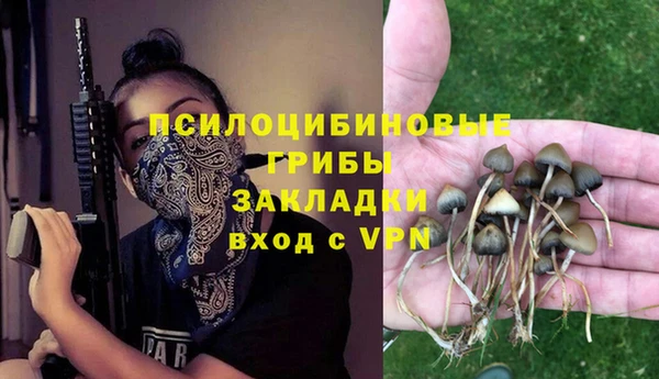 ECSTASY Щигры