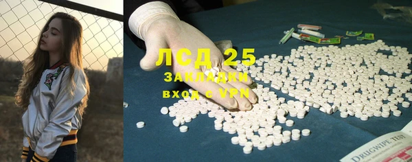 ПСИЛОЦИБИНОВЫЕ ГРИБЫ Заводоуковск