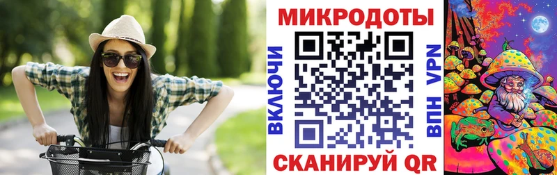 Галлюциногенные грибы Psilocybe  Рудня 